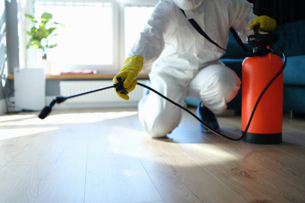 Reliable Kailua, HI Pest Control Solutions