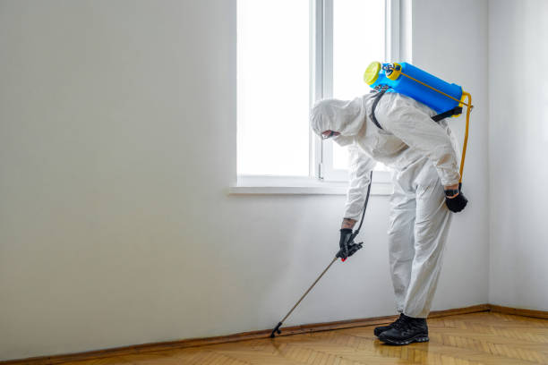 Best Pest Removal Services  in Kailua, HI