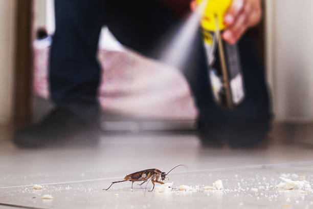 Pest Control Cost in Kailua, HI