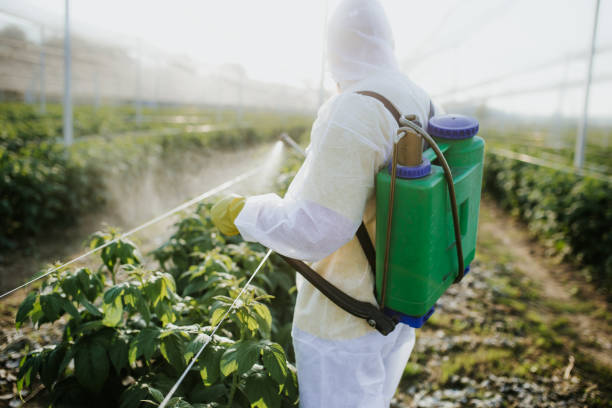 Best Emergency Pest Control  in Kailua, HI